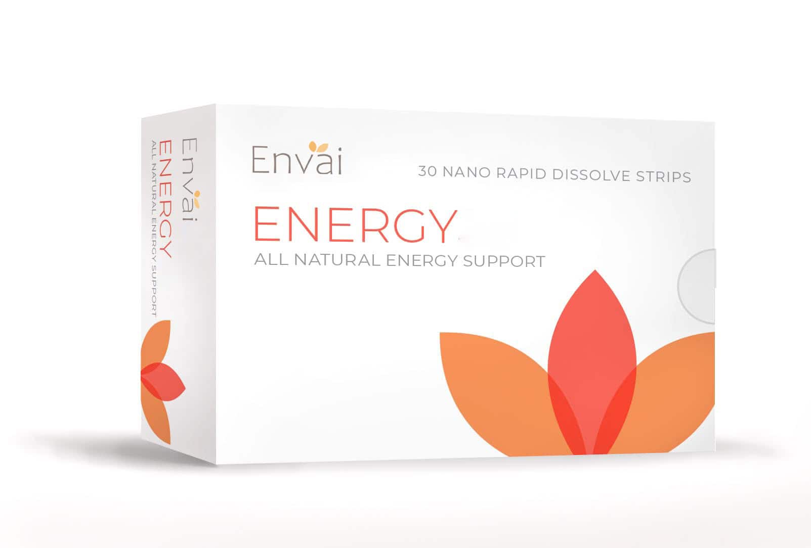 Energy 3D 202404 Envai