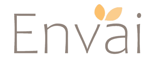 Envai_Logo_Yellow-removebg-preview